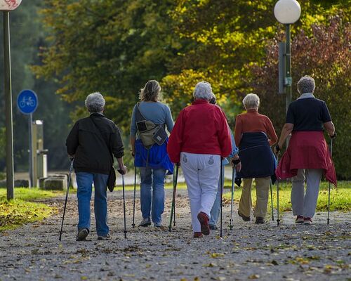 nordic-walking-walkers-go-together