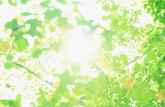 八王子でペットと一緒に生活が出来る老人ホーム